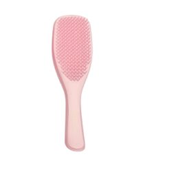 Hair Brush for Styling and Detangling