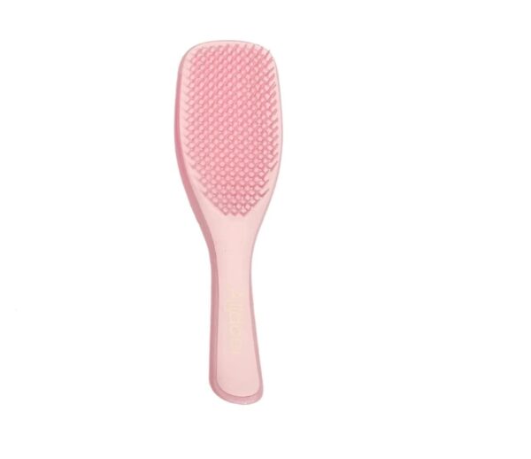 Hair Brush for Styling and Detangling