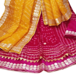 Women Lehenga Chunni