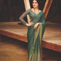 Velvet Chiffon Saree