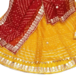 Women Lehenga Chunni