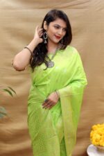 Kanchipuram silk saree | Sarees