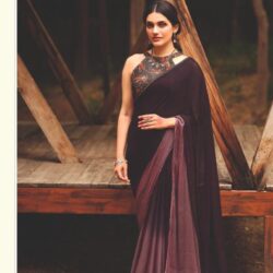 Velvet Chiffon Saree