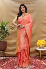 Kanchipuram silk saree | Sarees