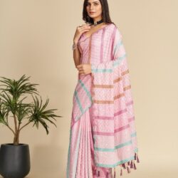 chinnon saree