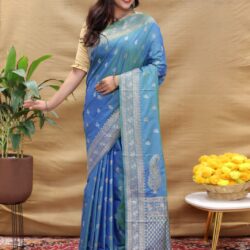 Kanchipuram silk saree | Sarees