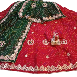 Women Lehenga Chunni