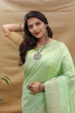 Kanchipuram silk saree | Sarees