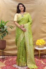 Kanchipuram silk saree | Sarees