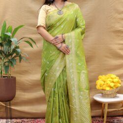 Kanchipuram silk saree | Sarees