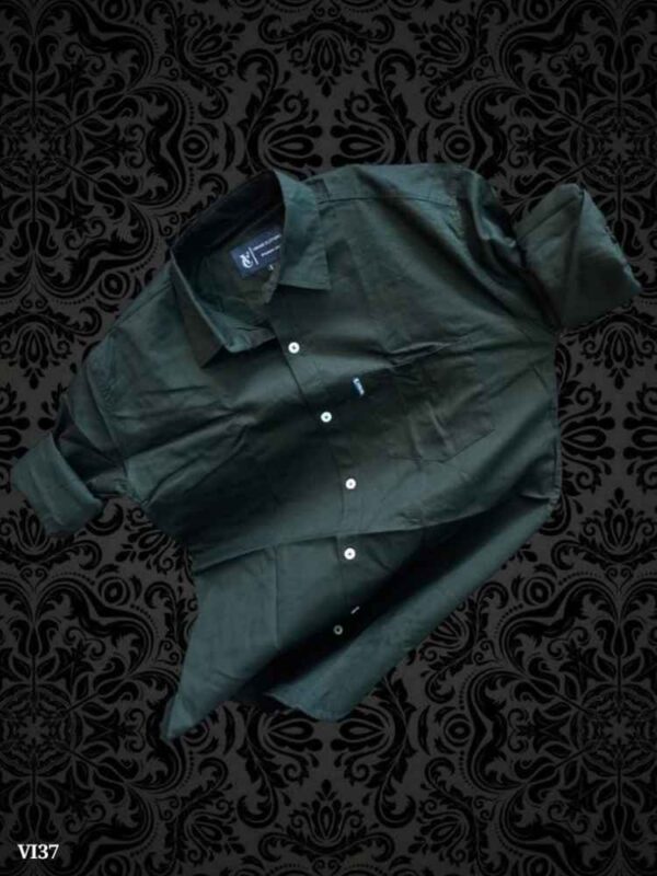 Shirts Casual Shirt