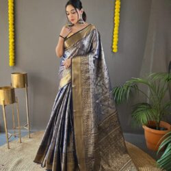 Kanchipuram Silk Saree | Sarees