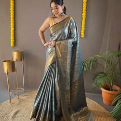 Kanchipuram Silk Saree | Sarees