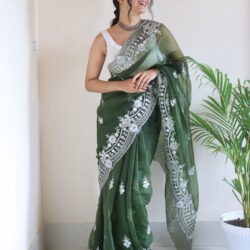 Saree Party wear saree