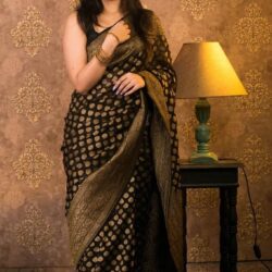 Saree Banarasi Saree